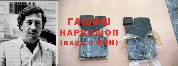 молекула духа Вяземский