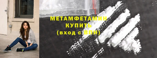 молекула духа Вяземский