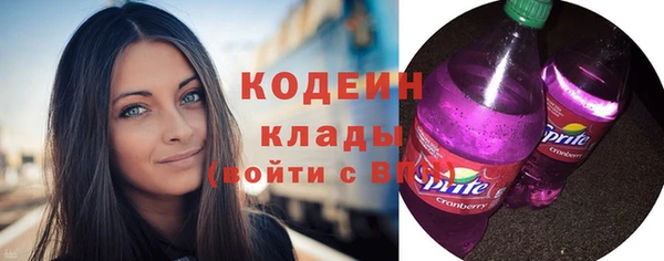 молекула духа Вяземский