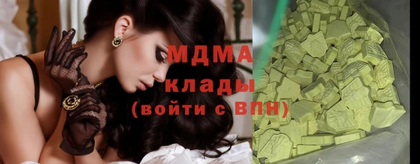 молекула духа Вяземский