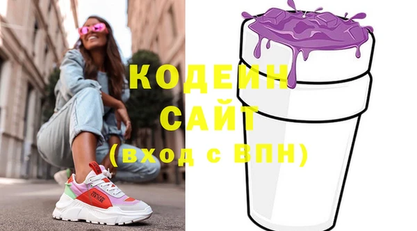 молекула духа Вяземский