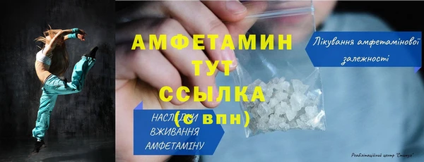 молекула духа Вяземский