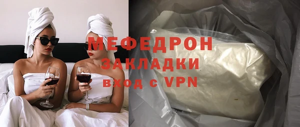 молекула духа Вяземский