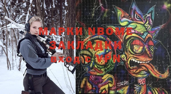 молекула духа Вяземский