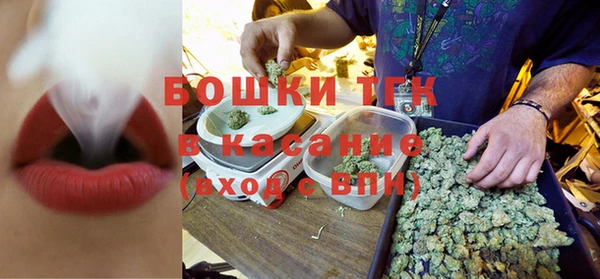 молекула духа Вяземский