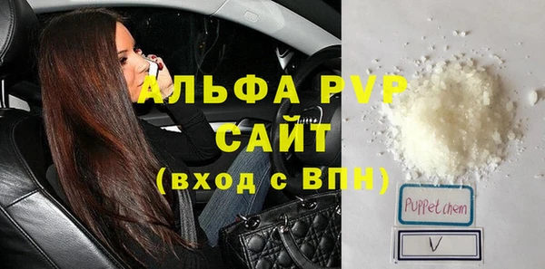 молекула духа Вяземский