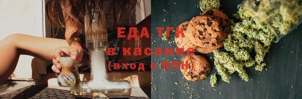 молекула духа Вяземский