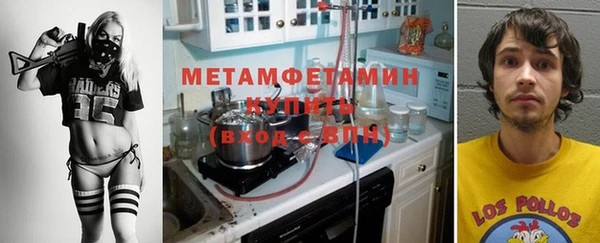 молекула духа Вяземский