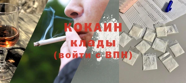 молекула духа Вяземский